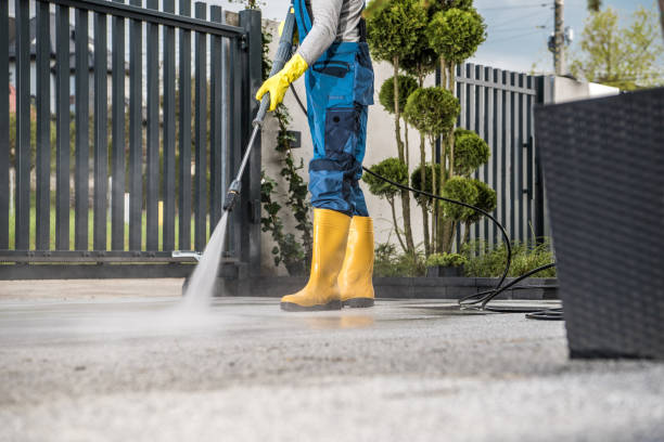 Boat and Dock Cleaning in Ashburn, VA