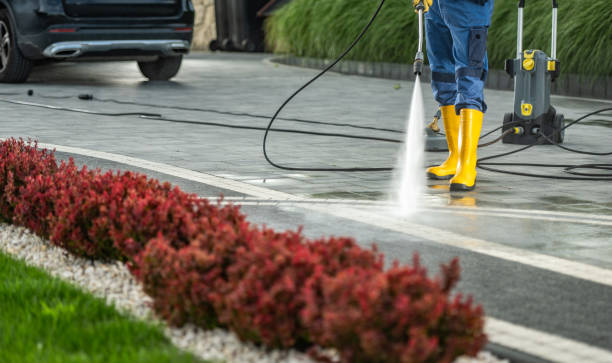 Best Driveway Pressure Washing  in Ashburn, VA