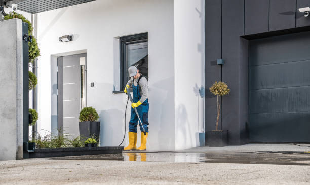 Best Soft Washing  in Ashburn, VA